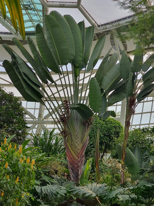 Bucheon Lake Botanic Garden Supia