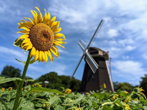 Tsurumi Ryokuchi Park 5