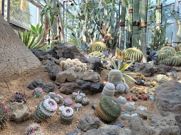 Tsurumi Ryokuchi Park 4