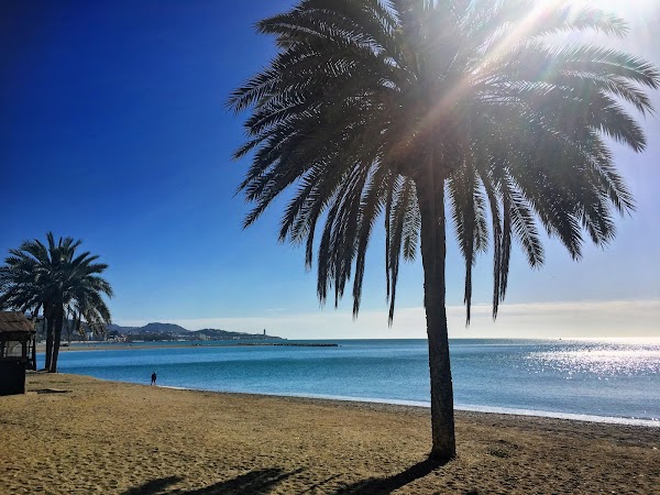Playa de la Malagueta (Málaga) 4