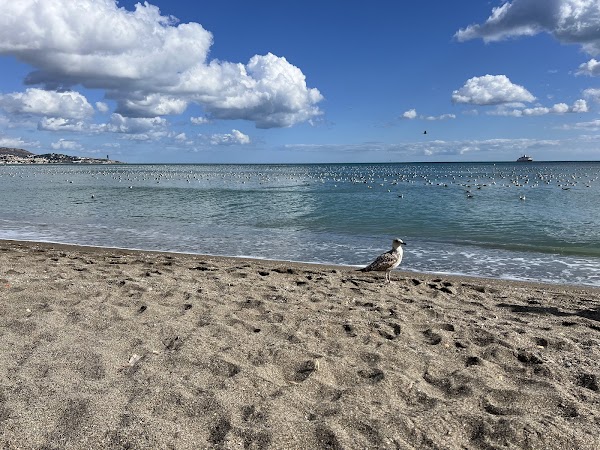 Playa de la Malagueta (Málaga) 2