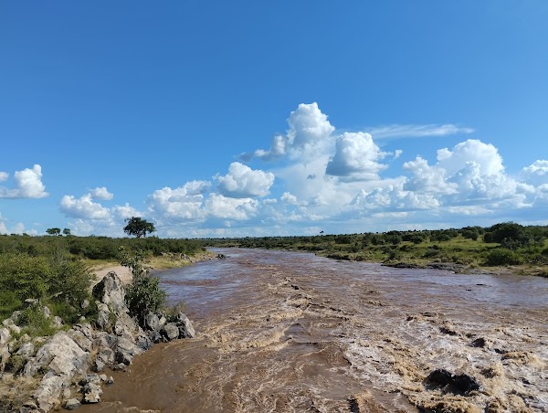 Mara river