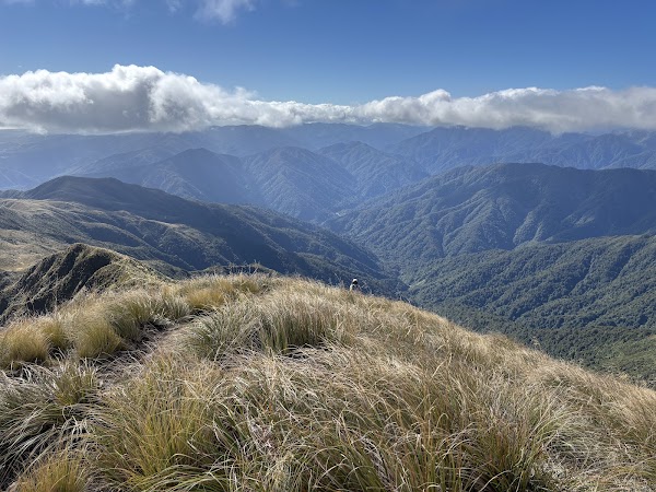 Tararua Forest Park 1
