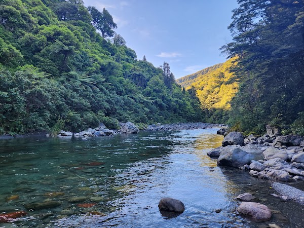 Tararua Forest Park 4