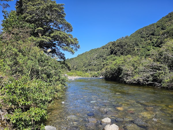Tararua Forest Park 3