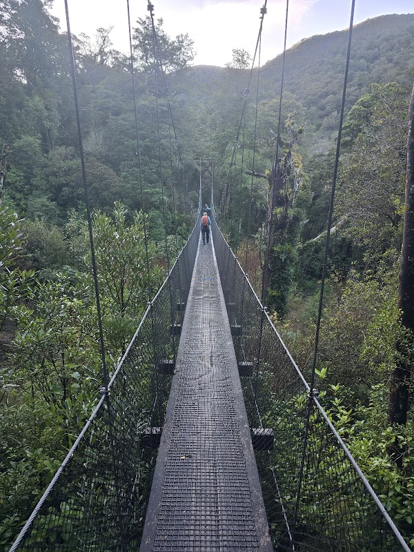 Tararua Forest Park 2