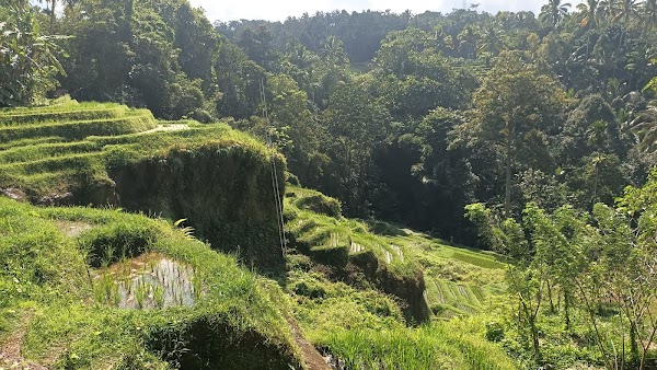 Singing Sade Waterfall 2