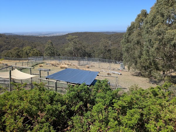 Dingo Discovery Sanctuary, Research and Education Centre 2