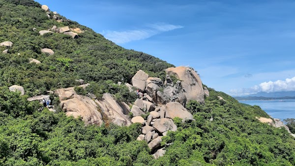 Devil's Paw / Devil's Claw