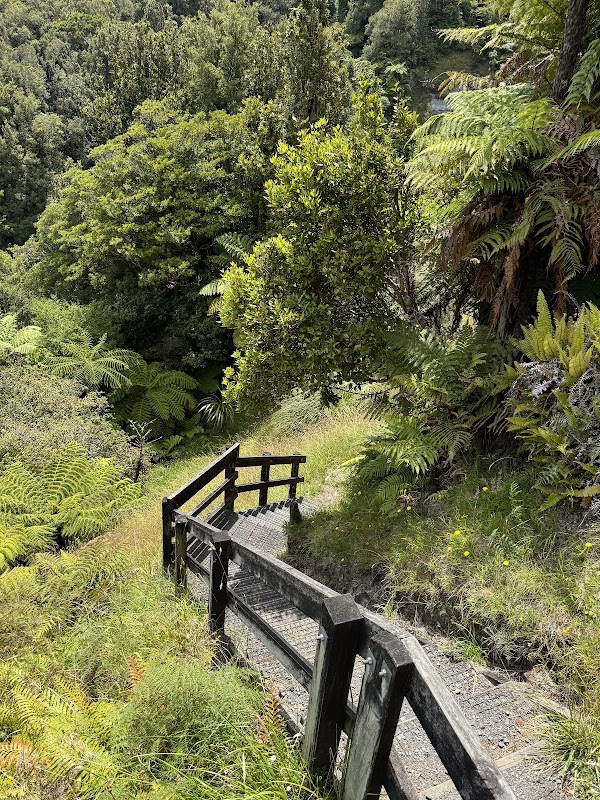 Mount Damper Falls 4