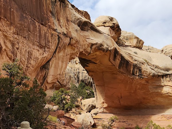 Capitol Reef National Park 6