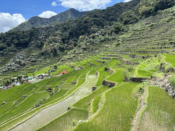 Batad Rice Terraces
