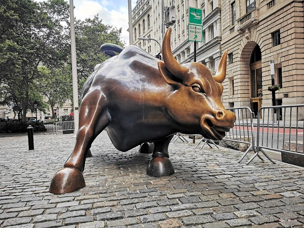 Charging Bull