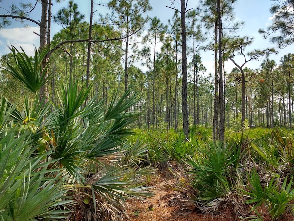 Tibet-Butler Nature Preserve 5