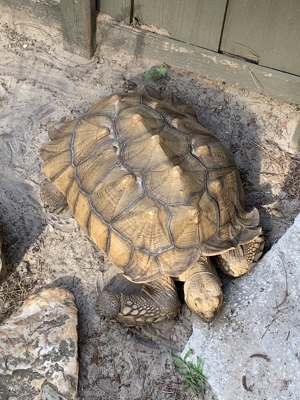 Tibet-Butler Nature Preserve 3