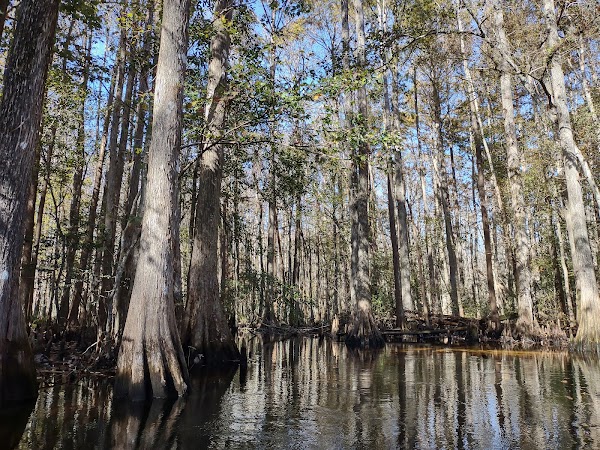 Shingle Creek Regional Park 3