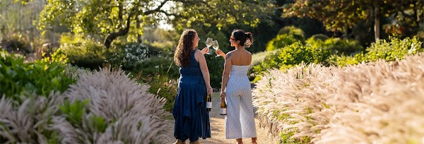 Matanzas Creek Winery