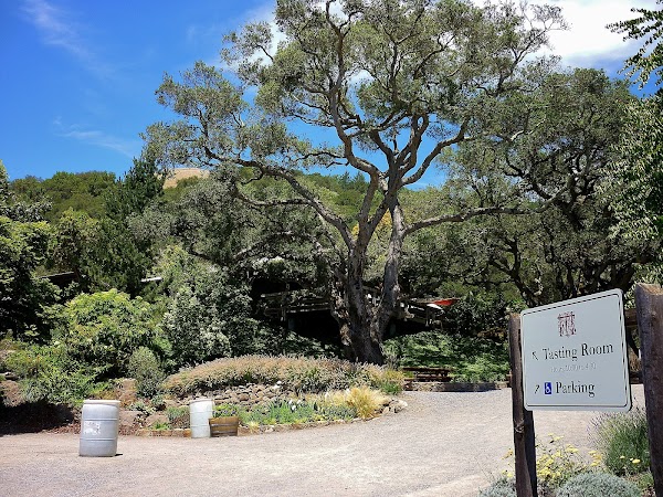 Matanzas Creek Winery 3