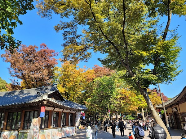 Korean Folk Village 5