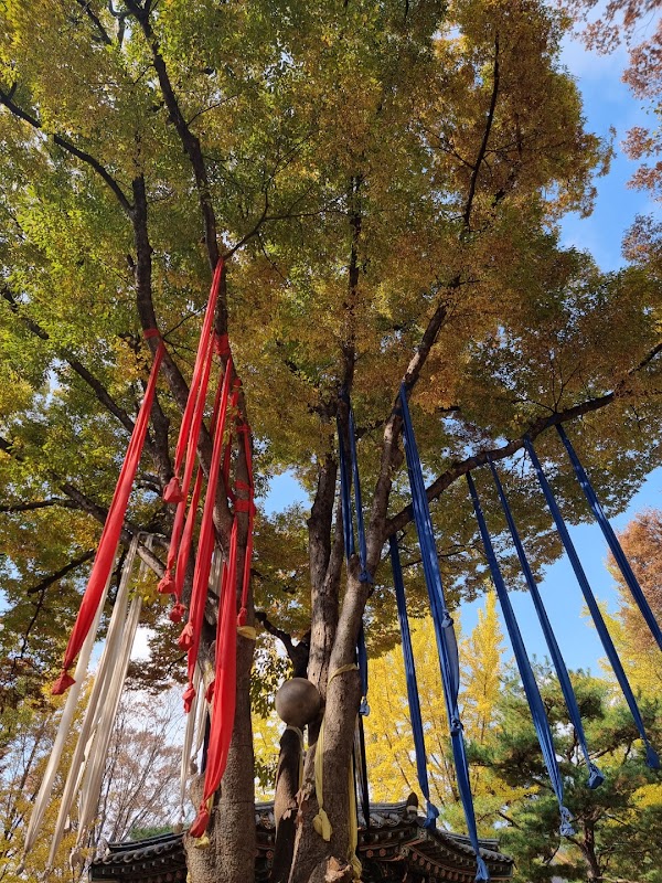 Korean Folk Village 3