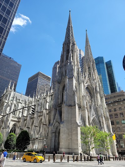 St. Patrick's Cathedral 1