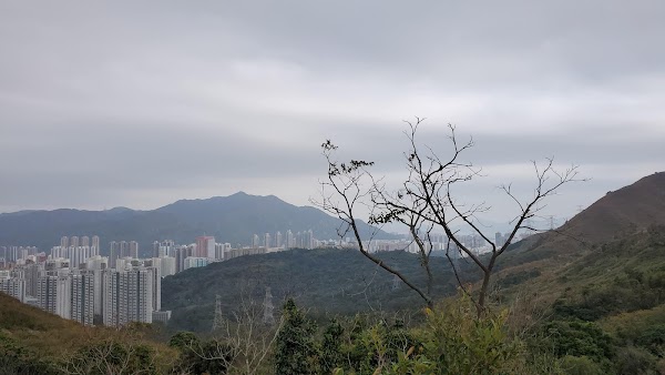 菠萝山
