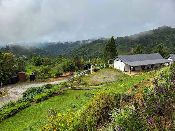 The Hill Kinabalu