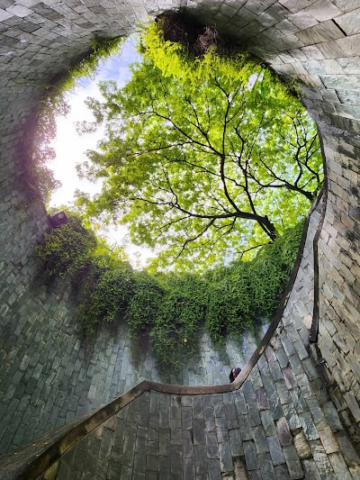 Fort Canning Tree Tunnel