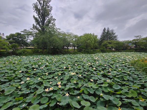 Bomunjeong Pavilion 3