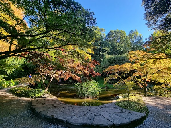 I Giardini di Villa Melzi 4