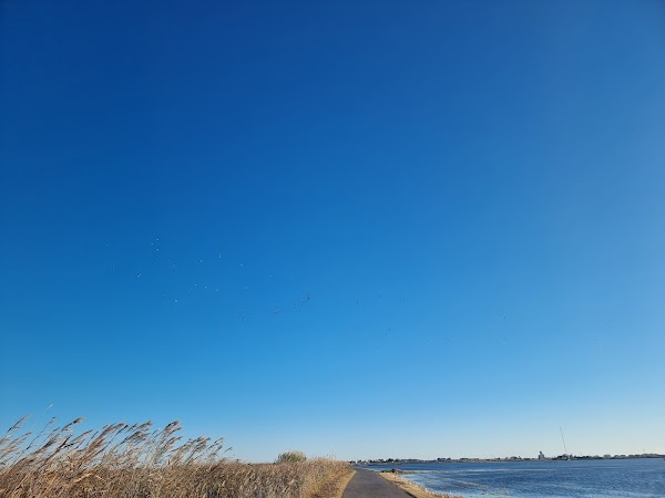 Parc Natural de l'Albufera 6