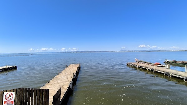 Parc Natural de l'Albufera 5