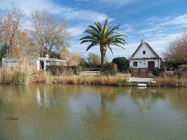 Parc Natural de l'Albufera 4