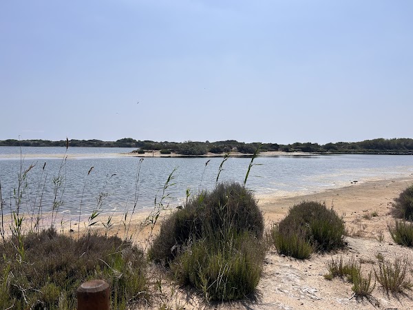Parc Natural de l'Albufera 3