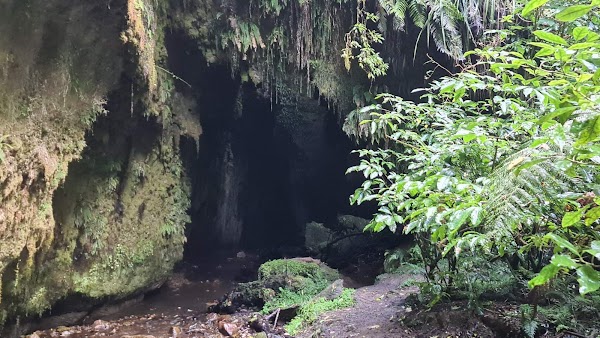 Limestone Creek Reserve Glow Worm Caves