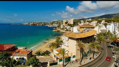 Palma
