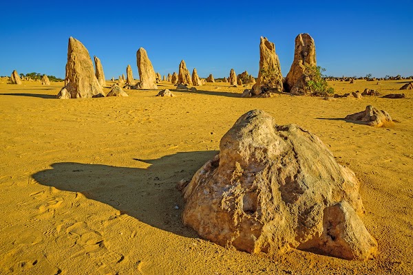 The Pinnacles Desert 1