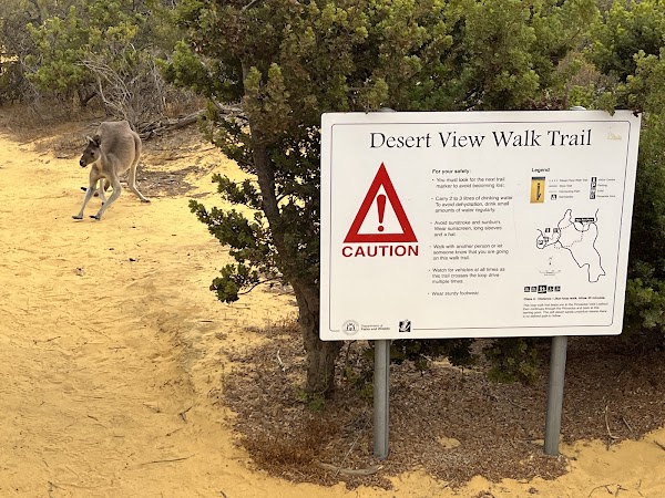 The Pinnacles Desert 3