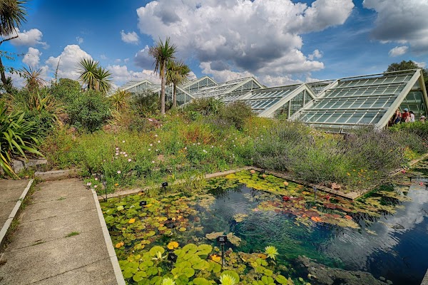Princess of Wales Conservatory 5