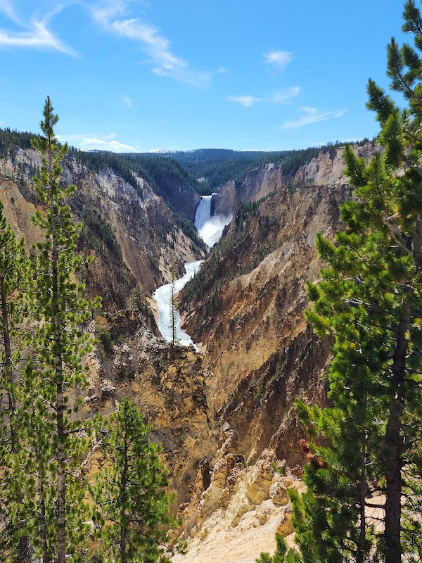Yellowstone National Park 2