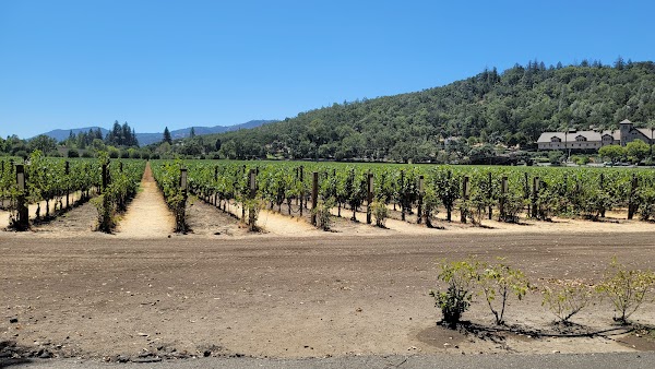 Napa Valley Wine Train 3