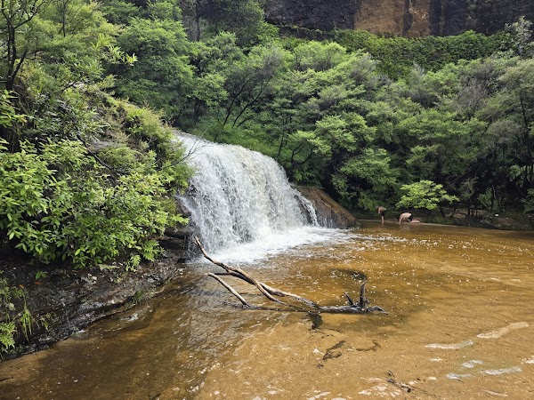 Blue Mountains National Park 5