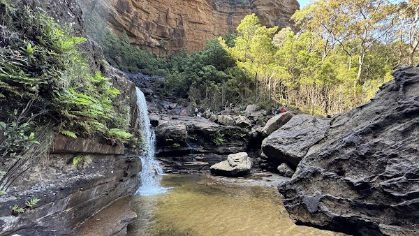 Blue Mountains National Park 4