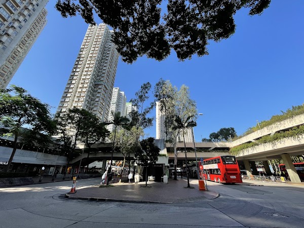 Tai Po Central Bus Terminus