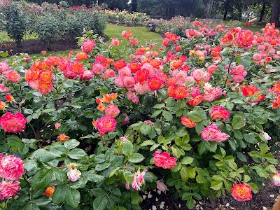 Stanley Park: A Nature and Culture Adventure in Vancouver's Urban Oasis