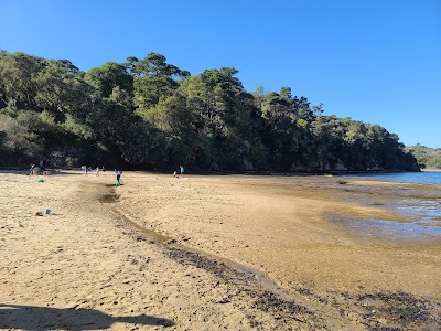 Tomales Bay State Park 2