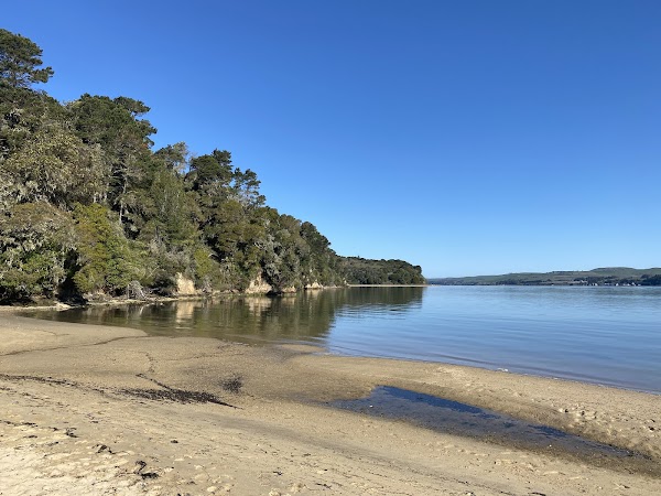 Tomales Bay State Park 1