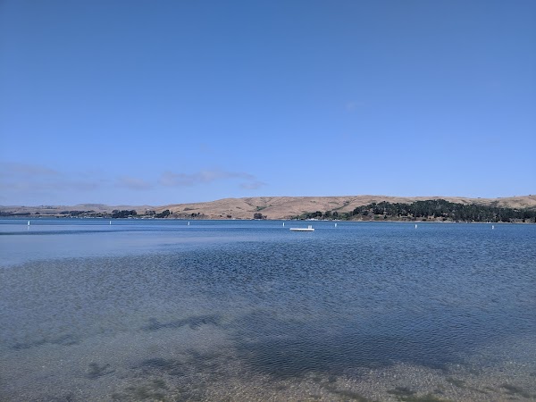 Tomales Bay State Park 4