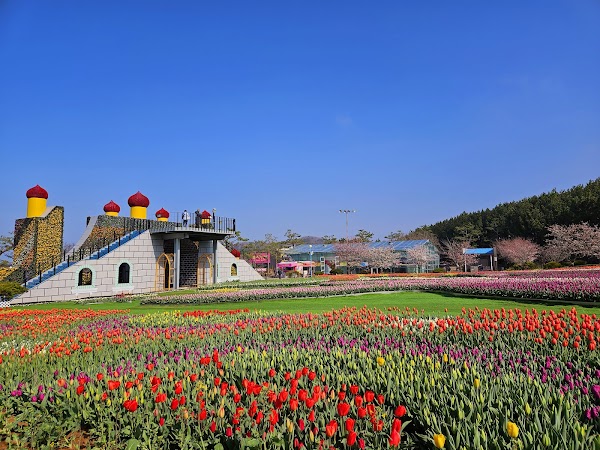 Taean Tulip Festival