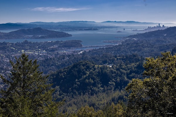 Mount Tamalpais State Park